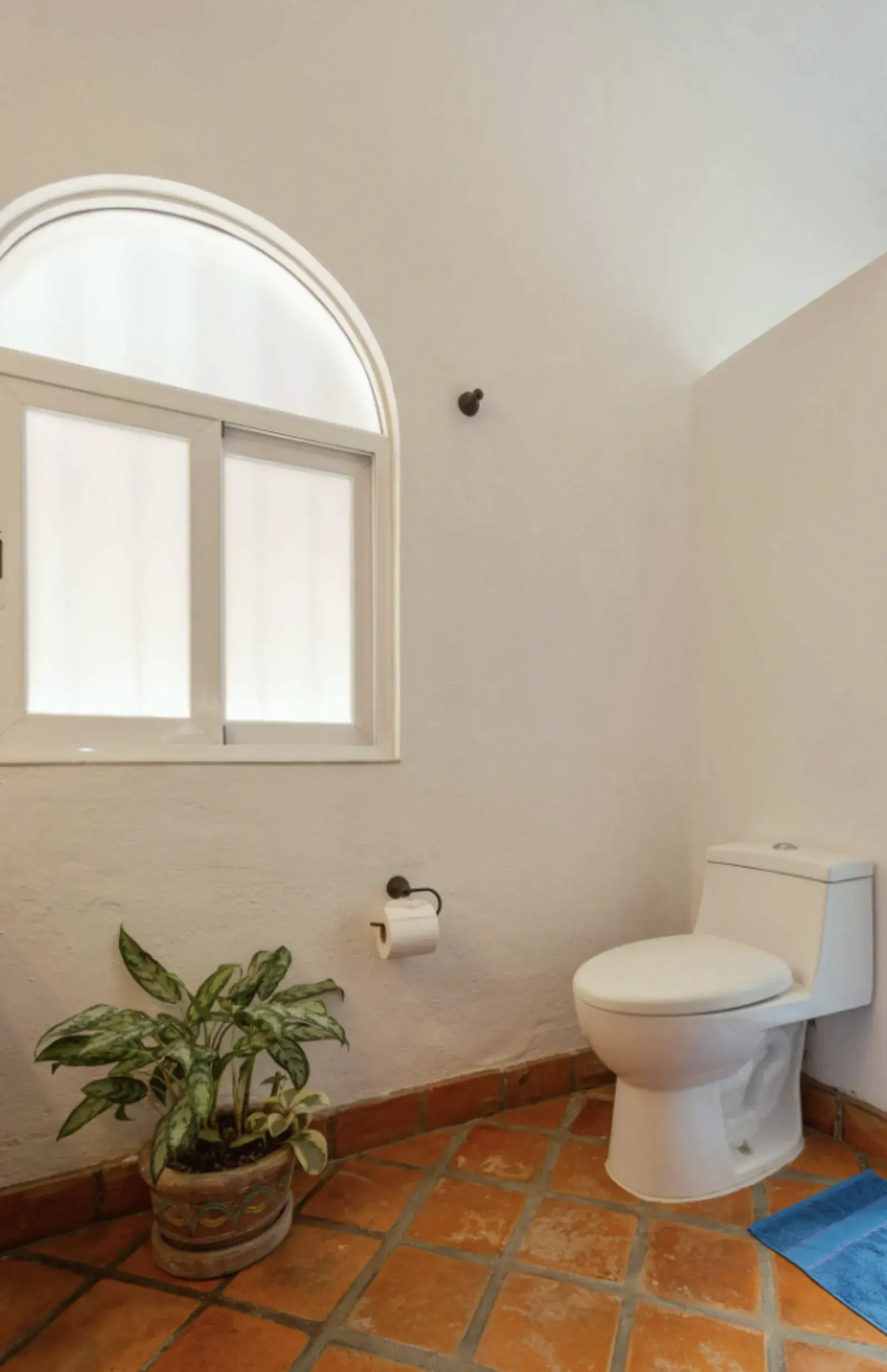 Second bathroom with arched window